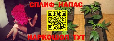 стаф Бугуруслан