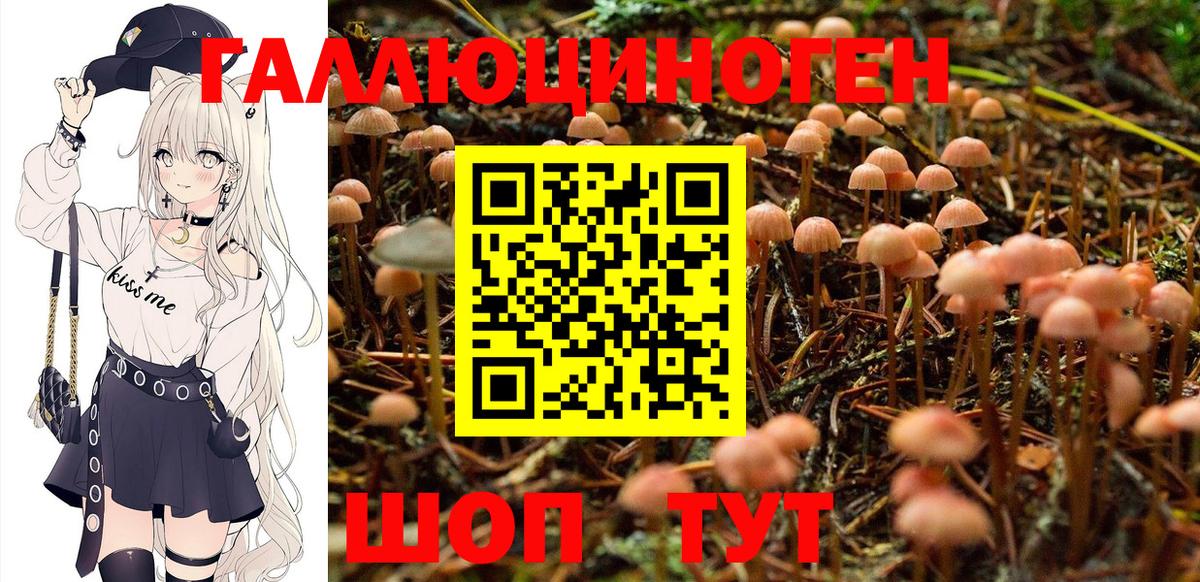 Псилоцибиновые грибы MAGIC MUSHROOMS  Галлюциногенные грибы мухоморы  Вход с VPN  Свободный 